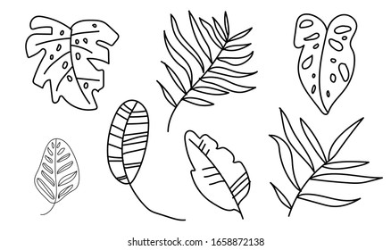 Die Vektorillustration Set tropischen Blätter Monstera, Banane, Palmen, Calathea.Botanische Illustration schwarze Linie Kunst auf weißem, isoliertem Hintergrund.Design für Web, soziale Netzwerke, Aufkleber, Karten, Verpackungen.