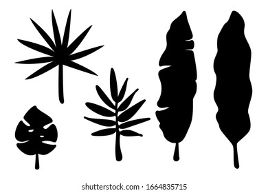Conjunto vectorial de hojas tropicales: monstera, plátano, palma. Silueta negra aislada sobre fondo blanco