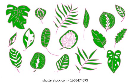 The vector set tropical leaves monsters, banana, palm trees,calathea.Botanical illustration green and pink color a white isolated background.Design for web,social networks,stickers,cards,packaging.