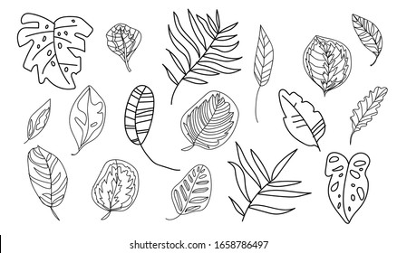 The vector set tropical leaves monsters, banana, palm trees,calathea.Botanical illustration black line art on a white isolated background.Design for web,social networks,stickers, cards,packaging.