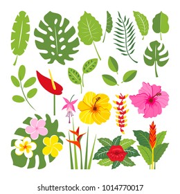 242,857 Jungle Flower Vector Images, Stock Photos & Vectors 