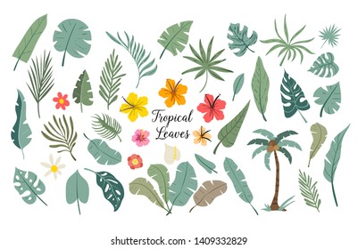 Vector set of tropical leaves. Palm, monstera, banana leaf, hibiscus, plumeria flowers.