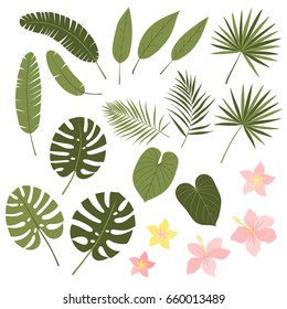 Vector set of tropical leaves. Palm banana monstera leaf. Jungle exotic flowers. Vector illustration