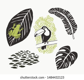Vector set of tropical natural elements isolated on white. Sketches with toucan, frog and leaves. Details of Nature of South America.