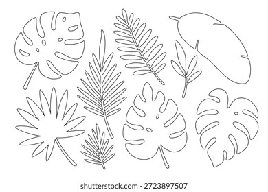 Vektorsatz von tropischen Umrissblättern. Monstera, Bananenblätter und Palmenblätter. Perfekt zum Färben von Büchern, minimalistischem Dekor, Mustern und kreativen Projekten mit botanischem Thema.