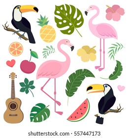 Conjunto vectorial de palma tropical, hoja de plátano, flamingo, pájaros tocanos, guitarra ukulele, piña, sandía. 