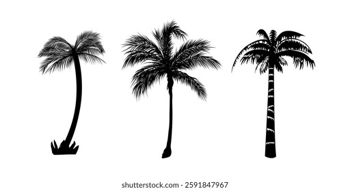 vector set of tropical palm and tree silhouettes