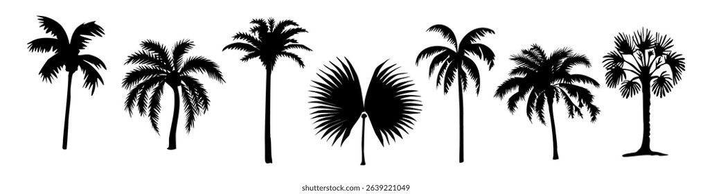 Vector set of tropical palm tree black silhouettes in different shapes and sizes, isolated on white background. Exotic nature elements for design, posters, prints, and patterns