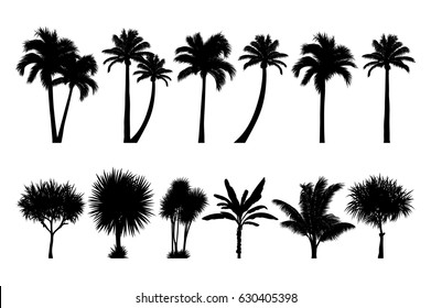 vector set of tropical palm and tree silhouettes. EPS