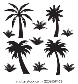 Vector Set Of Tropical Palm Trees Silhouettes Illustration Isolated On White Background