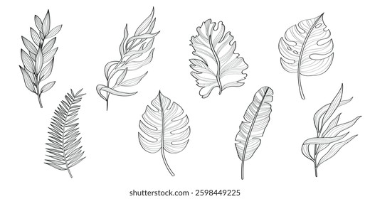 Vector set of tropical planet. Set of black and white hand drawn exotic leaves, line art flora elements