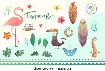 Vector set tropical plants and animals. Flowers and leaves. Illustrations can be used on the cover, flyers, printing, fabric, books.