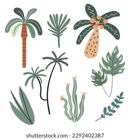 Vector set of tropical plants. Cute jungle plants. Palms, cacti, leaves. White isolated background. Hand drawn style.