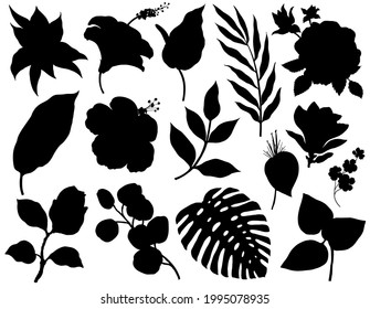 Conjunto vectorial de siluetas de plantas tropicales aisladas en fondo blanco