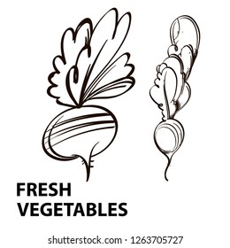 Vector set of turnips and radishes on a white background, black and white drawing with the inscription: "fresh vegetables".