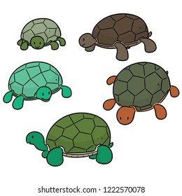 vector set of turtle