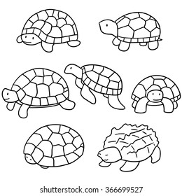vector set of turtle