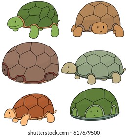 vector set of turtle