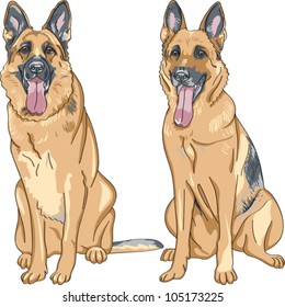 vector set two dog German shepherd breed sitting and smile with his tongue hanging out