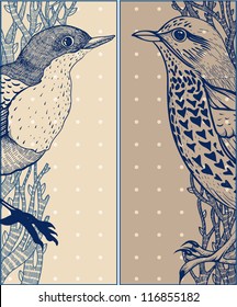 vector set of two hand drawn cards with vintage birds
