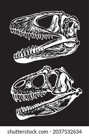 Vector set of two skulls of tyrannosauruses isolated on black background,graphical illustration 
