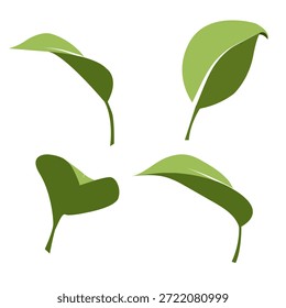 Un conjunto de Vector de hojas de dos colores en un estilo minimalista plano. Esta ilustración plana de hojas de dos colores presenta una paleta limitada de tonos verdes, ejecutados en un estilo botánico moderno y minimalista.