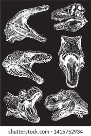 Vector set of tyrannosaurus portraits isolated on black, graphical engraved illustration