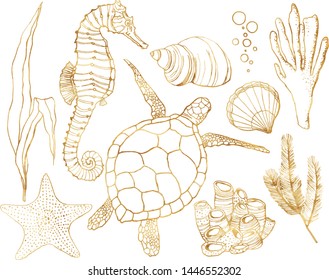 Vector con animales submarinos y plantas de arrecifes de coral. Tortuga dorada pintada a mano, caballito de mar, laminaria, coral y concha aislados en fondo blanco. Ilustración de arte de línea para diseño, impresión.