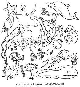 Vector set of underwater life. Hand drawn sketches of sea turtle, dolfin, jelly fish, shells, octopus and other  oceans animals.