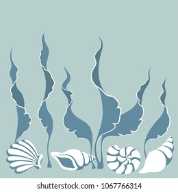 Vector set of underwater marine design elements: shells, sea plants (seaweed, algae). Sea bottom isolated elements.