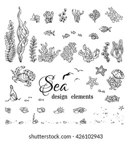 Vector set of underwater marine design elements. Various black contours of shells, algae, fish, jellyfish, starfish, bottle with a letter, key, stones and bubbles isolated on white background.