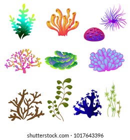 Vector set of underwater plants. Underwater plant, ocean and sea plant for aquarium