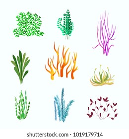 Vector set of underwater plants. Underwater plant, ocean and sea plant for aquarium