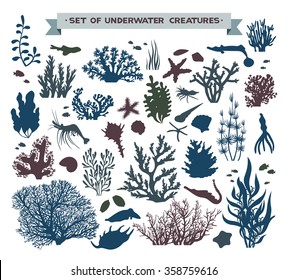 Vector set of underwater sea creatures - coral reef, fish, seashells and starfish. 