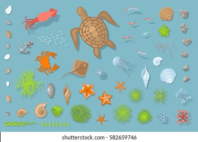 Vector set of underwater sea design elements. Top view.
The bottom of the sea - fish, turtle, crab, jellyfish, stones, shells, plants, sea stars. View from above.