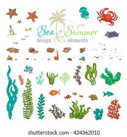 Vector set of underwater sea life design elements. Cartoon illustration. Various shells, algae, fish, jellyfish, starfish, bottle with a letter, key, stones and bubbles isolated on white background. 