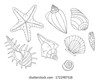 vector set of underwater world. elements of sea  vacation. coloring