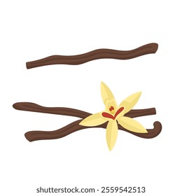 Vector set of vanilla pods and flower. Spice logo on white background. Natural aromatic spices for food and drinks