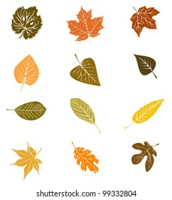 Vector set of various autumn leaves