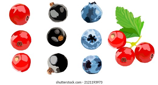 Vektorset verschiedener Beeren. Blaubeere, schwarz-roter Johannisbeere 