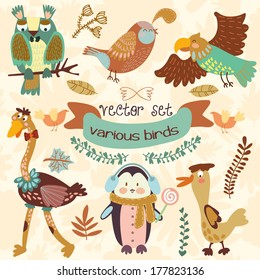 Vector Set of  with ?ute various birds.Penguin, ostrich, eagle, owl, duck, quail, bird .(All objects are isolated groups so you can move and separate them)
