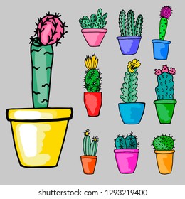 Vector set of various cacti in color pots. Perfect for textiles, packaging, design, scrapbooking.