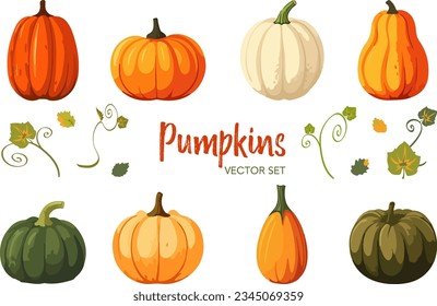 Vector set of various colorful pumpkins cartoon style isolated on white background