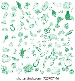 Vector set of various different hand drawn fruits and vegetables. Sketches of different food. Isolated on white