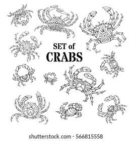 Vector set of various doodles crabs isolated on white background. Hand-drawn linear icons and symbols. Colouring book for adults template.