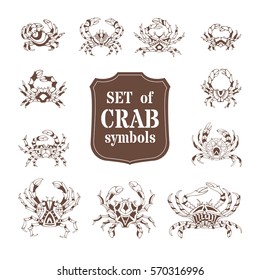 Vector set of various doodles crabs. Hand-drawn ornate icons and symbols in sepia isolated on white background.