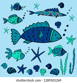 Vector set of various fish and seashells. Illustrations for marine design.