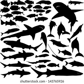 Vector set of various fish silhouettes