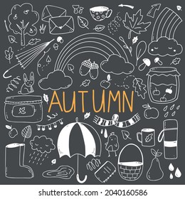 Vector set of various hand-drawn autumn elements for decorating crafts .