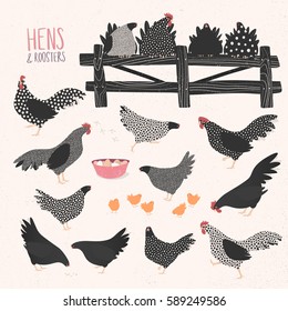 Vector set of various hens and roosters